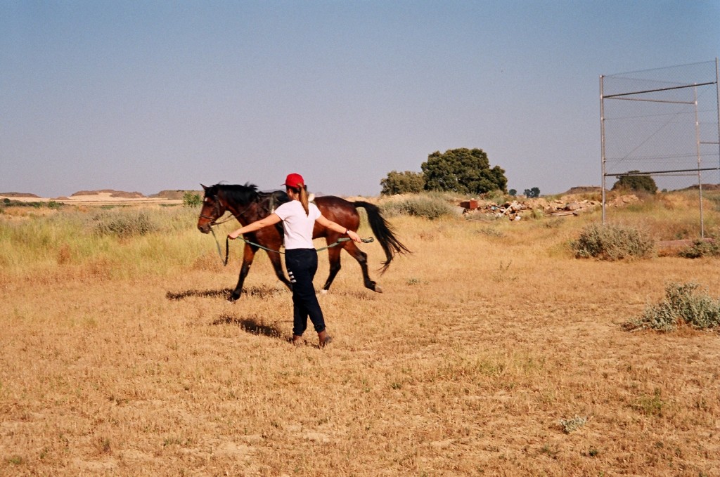 Con Cartucho, haciendo ejercicios de doma en el campo.